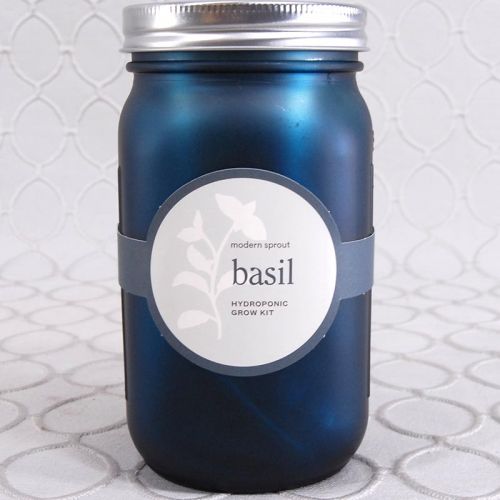 Basil Hydroponic Grow Kit 
