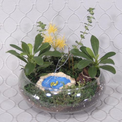 Terrarium #1833