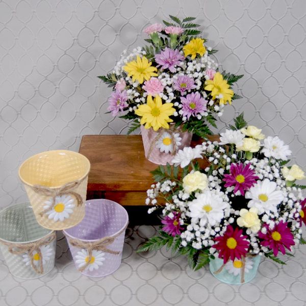 Fresh As A Daisy #3541