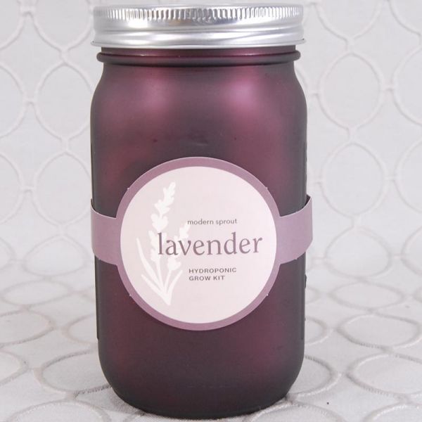 Lavender Hydroponic Grow Kit