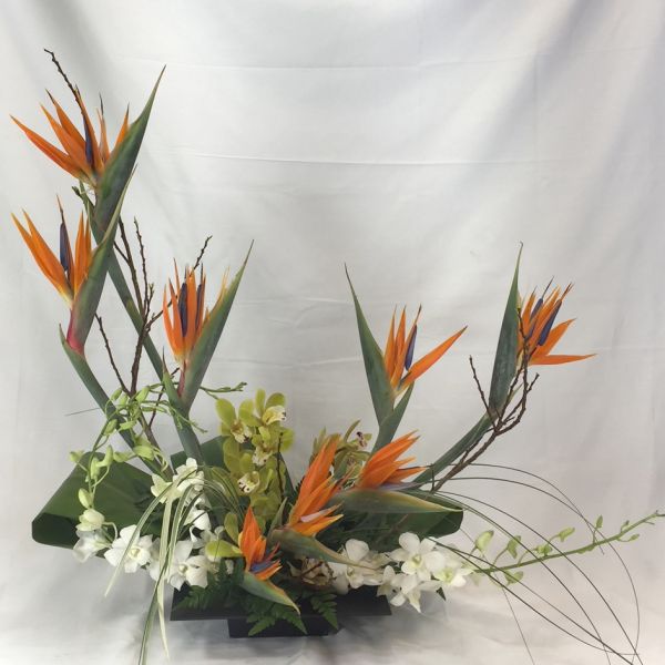 Birds Of Paradise Arrangement