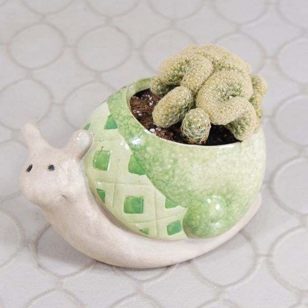 Cactus Garden #938