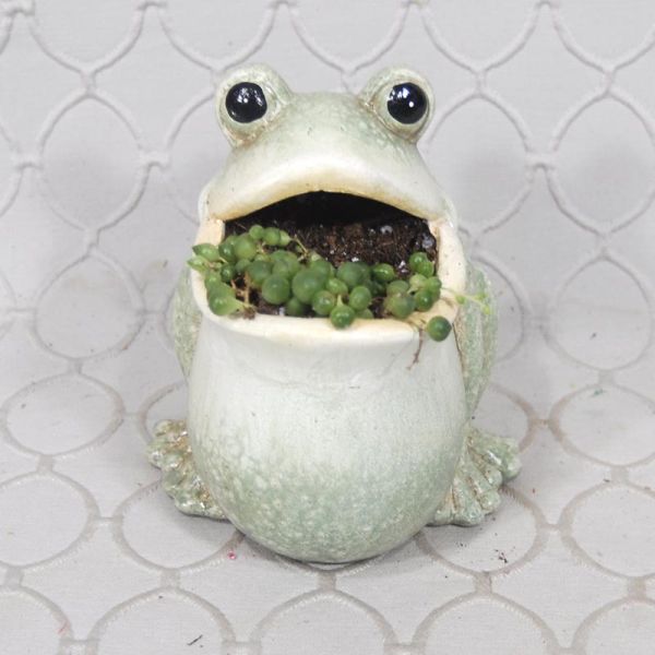 Frog Planter #1699