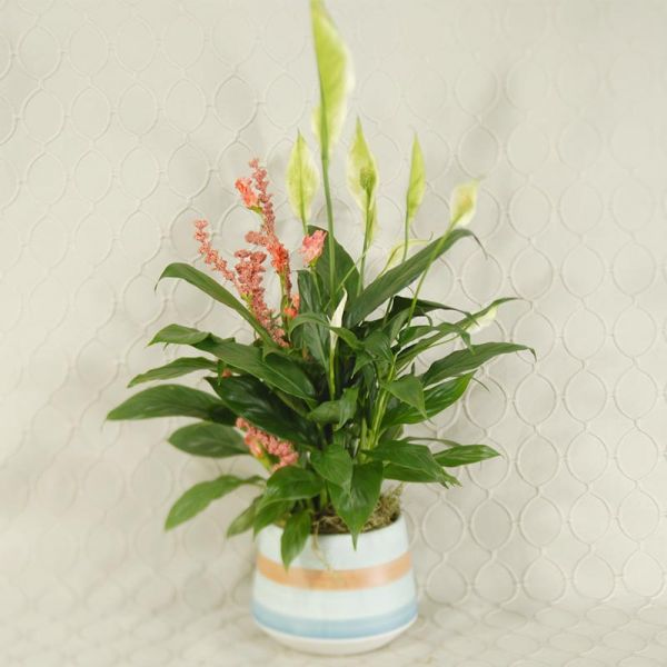 Planter #2428