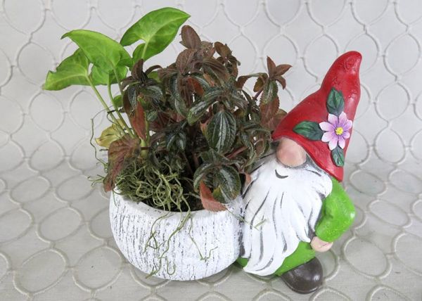 Gnome Dish Garden  #2850