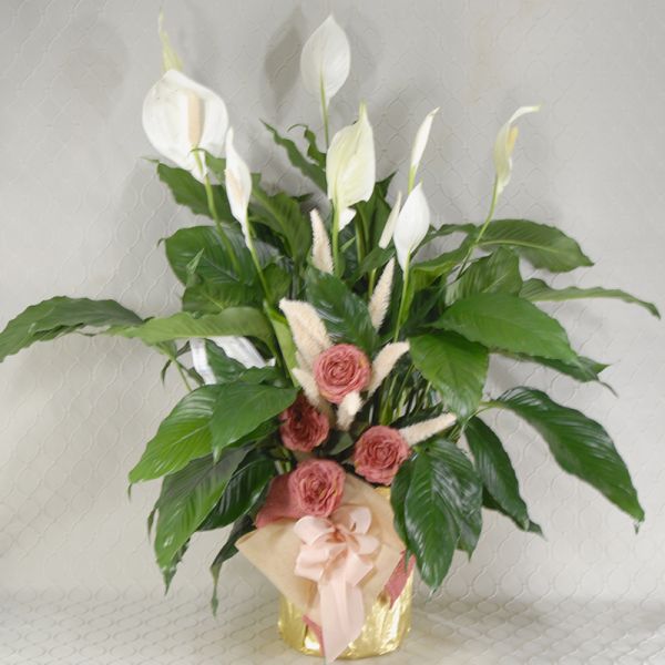 Prairie Rose 10 Inch