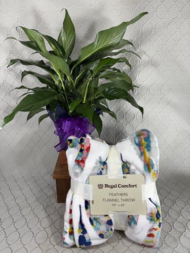 Gift Combo #1371