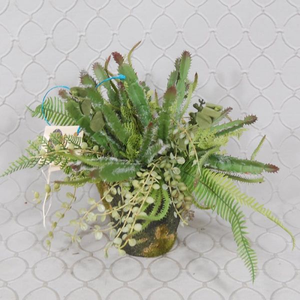 Silk Cactus & Succulent Garden 