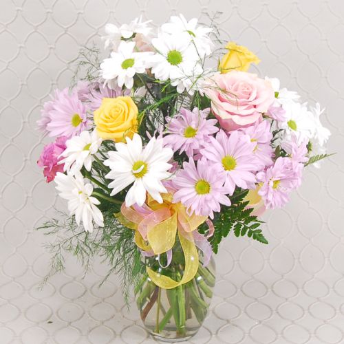 Daisy Day