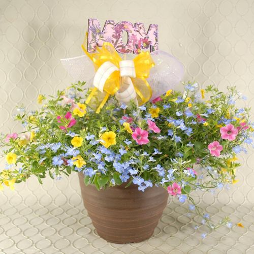 Petunia Pot 