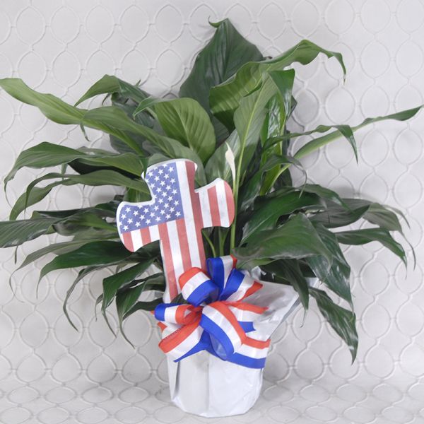 Proud Peace Lily