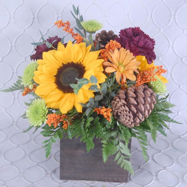 Harvest Sunflower