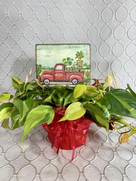 Plant Truck