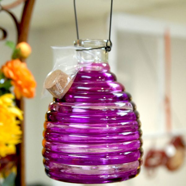 Wasp Trap  