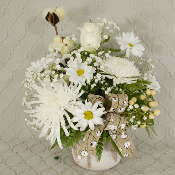 Soft Whites 