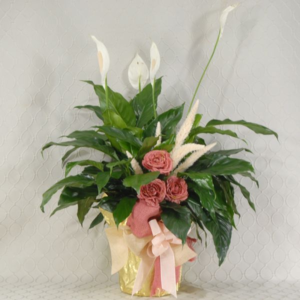 Prairie Rose 8 Inch 