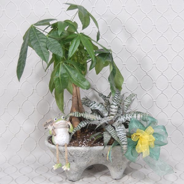 Froggy Welcome Planter #3624